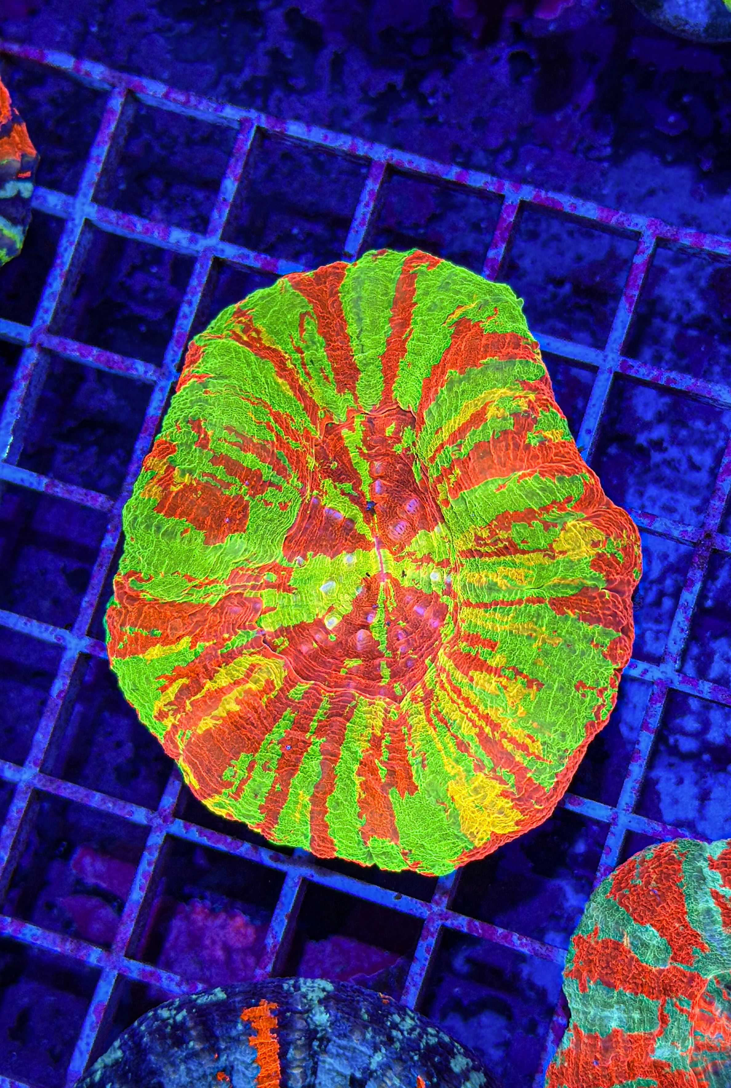 Welcome to Our Store